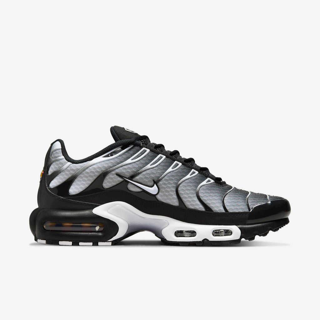 Nike Air Max Plus Black Silver White